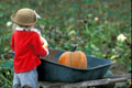 Little girl and pumpkin